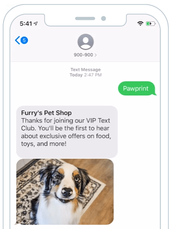 Example of automated reply that welcomes subscribers in SimpleTexting. They can now get exclusive offers on food, toys, and more.